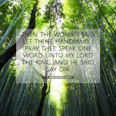 Picture 07 - 2 Samuel 14:12 KJV - Then the woman said, Let thine handmaid, I pray - Bible Verse Picture