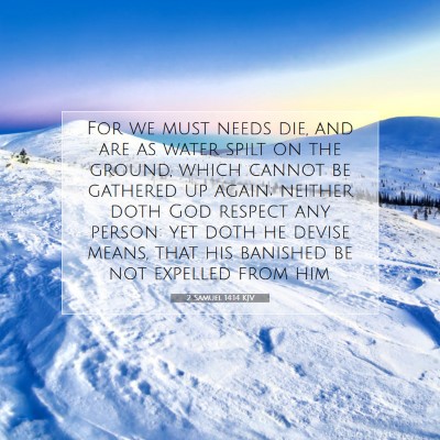 Picture 07 - 2 Samuel 14:14 KJV - For we must needs die, and are as water spilt on - Bible Verse Picture