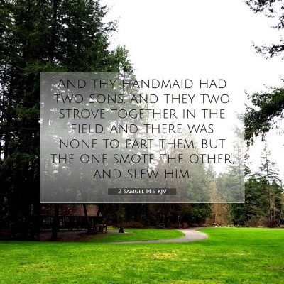Picture 07 - 2 Samuel 14:6 KJV - And thy handmaid had two sons, and they two - Bible Verse Picture