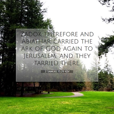 Picture 07 - 2 Samuel 15:29 KJV - Zadok therefore and Abiathar carried the ark of - Bible Verse Picture