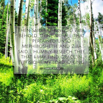 Picture 07 - 2 Samuel 16:4 KJV - Then said the king to Ziba, Behold, thine are all - Bible Verse Picture