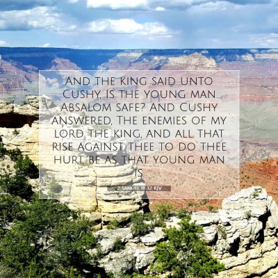 Picture 07 - 2 Samuel 18:32 KJV - And the king said unto Cushy, Is the young man - Bible Verse Picture