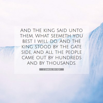 Picture 07 - 2 Samuel 18:4 KJV - And the king said unto them, What seemeth you - Bible Verse Picture