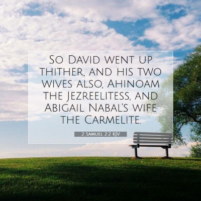 Picture 07 - 2 Samuel 2:2 KJV - So David went up thither, and his two wives also, - Bible Verse Picture