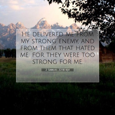 Picture 07 - 2 Samuel 22:18 KJV - He delivered me from my strong enemy, and from - Bible Verse Picture