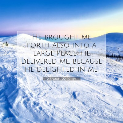 Picture 07 - 2 Samuel 22:20 KJV - He brought me forth also into a large place: he - Bible Verse Picture
