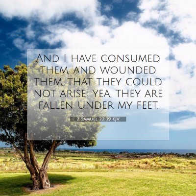 Picture 07 - 2 Samuel 22:39 KJV - And I have consumed them, and wounded them, that - Bible Verse Picture