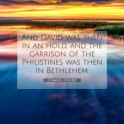 Picture 07 - 2 Samuel 23:14 KJV - And David was then in an hold, and the garrison - Bible Verse Picture