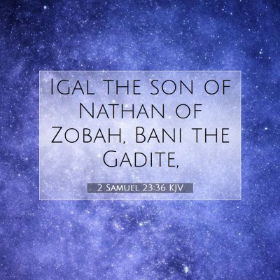 Picture 07 - 2 Samuel 23:36 KJV - Igal the son of Nathan of Zobah, Bani the - Bible Verse Picture