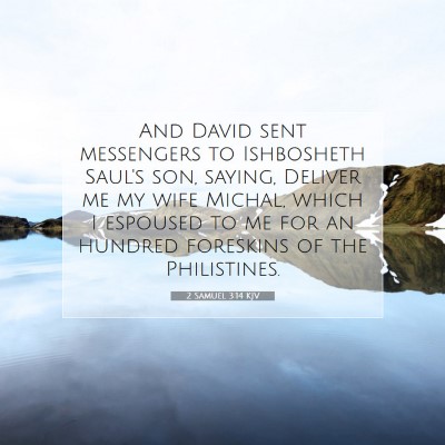 Picture 07 - 2 Samuel 3:14 KJV - And David sent messengers to Ishbosheth Saul's - Bible Verse Picture