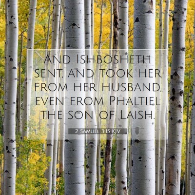 Picture 07 - 2 Samuel 3:15 KJV - And Ishbosheth sent, and took her from her - Bible Verse Picture