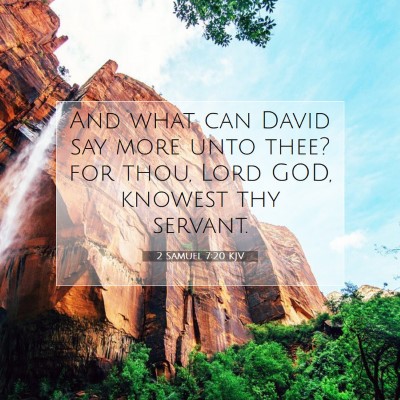 Picture 07 - 2 Samuel 7:20 KJV - And what can David say more unto thee? for thou, - Bible Verse Picture