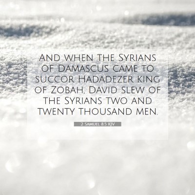 Picture 07 - 2 Samuel 8:5 KJV - And when the Syrians of Damascus came to succor - Bible Verse Picture