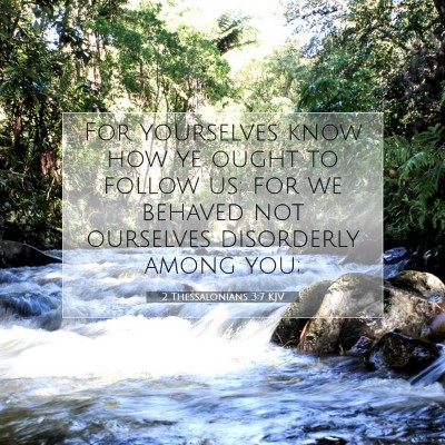 Picture 07 - 2 Thessalonians 3:7 KJV - For yourselves know how ye ought to follow us: - Bible Verse Picture