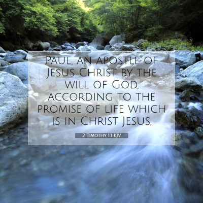 Picture 07 - 2 Timothy 1:1 KJV - Paul, an apostle of Jesus Christ by the will of - Bible Verse Picture