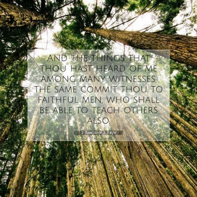 Picture 07 - 2 Timothy 2:2 KJV - And the things that thou hast heard of me among - Bible Verse Picture