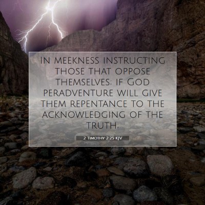 Picture 07 - 2 Timothy 2:25 KJV - In meekness instructing those that oppose - Bible Verse Picture