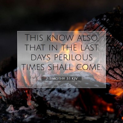 Picture 07 - 2 Timothy 3:1 KJV - This know also, that in the last days perilous - Bible Verse Picture
