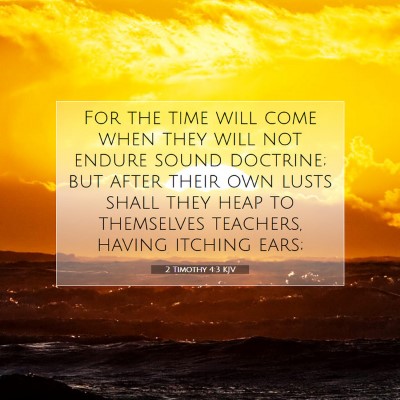 Picture 07 - 2 Timothy 4:3 KJV - For the time will come when they will not endure - Bible Verse Picture