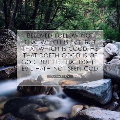 Picture 07 - 3 John 1:11 KJV - Beloved, follow not that which is evil, but that - Bible Verse Picture
