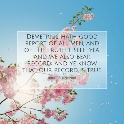 Picture 07 - 3 John 1:12 KJV - Demetrius hath good report of all men, and of the - Bible Verse Picture