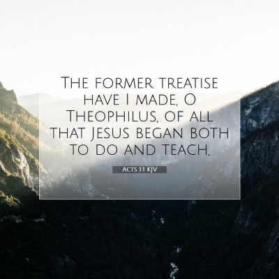 Picture 07 - Acts 1:1 KJV - The former treatise have I made, O Theophilus, of - Bible Verse Picture
