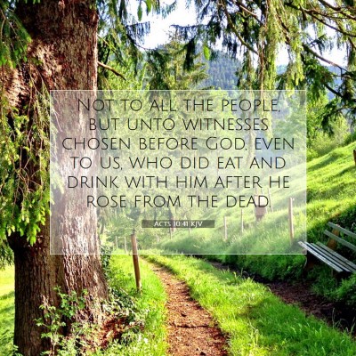Picture 07 - Acts 10:41 KJV - Not to all the people, but unto witnesses chosen - Bible Verse Picture