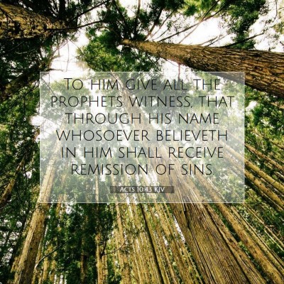Picture 07 - Acts 10:43 KJV - To him give all the prophets witness, that - Bible Verse Picture