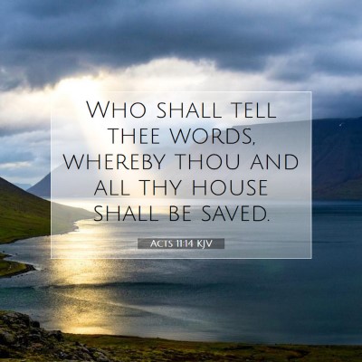 Picture 07 - Acts 11:14 KJV - Who shall tell thee words, whereby thou and all - Bible Verse Picture