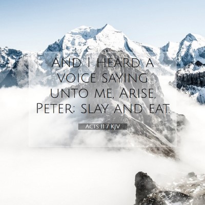 Picture 07 - Acts 11:7 KJV - And I heard a voice saying unto me, Arise, Peter; - Bible Verse Picture