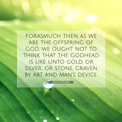 Picture 07 - Acts 17:29 KJV - Forasmuch then as we are the offspring of God, we - Bible Verse Picture