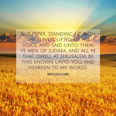 Picture 07 - Acts 2:14 KJV - But Peter, standing up with the eleven, lifted up - Bible Verse Picture