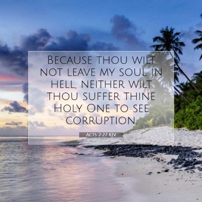 Picture 07 - Acts 2:27 KJV - Because thou wilt not leave my soul in hell, - Bible Verse Picture