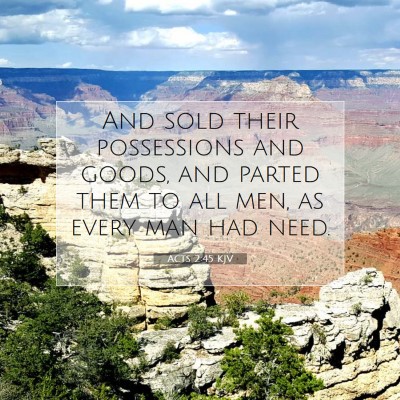 Picture 07 - Acts 2:45 KJV - And sold their possessions and goods, and parted - Bible Verse Picture