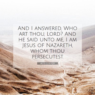 Picture 07 - Acts 22:8 KJV - And I answered, Who art thou, Lord? And he said - Bible Verse Picture