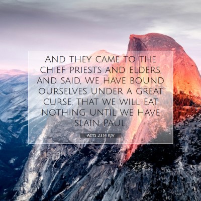 Picture 07 - Acts 23:14 KJV - And they came to the chief priests and elders, - Bible Verse Picture