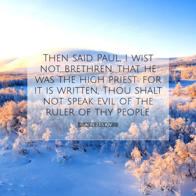 Picture 07 - Acts 23:5 KJV - Then said Paul, I wist not, brethren, that he was - Bible Verse Picture