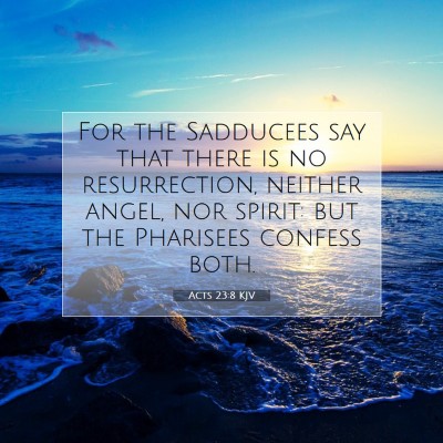 Picture 07 - Acts 23:8 KJV - For the Sadducees say that there is no - Bible Verse Picture
