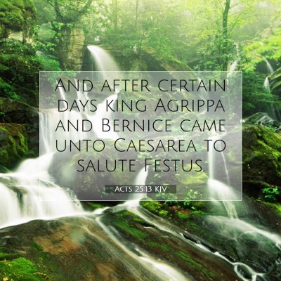Picture 07 - Acts 25:13 KJV - And after certain days king Agrippa and Bernice - Bible Verse Picture