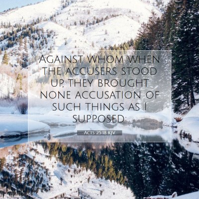 Picture 07 - Acts 25:18 KJV - Against whom when the accusers stood up, they - Bible Verse Picture