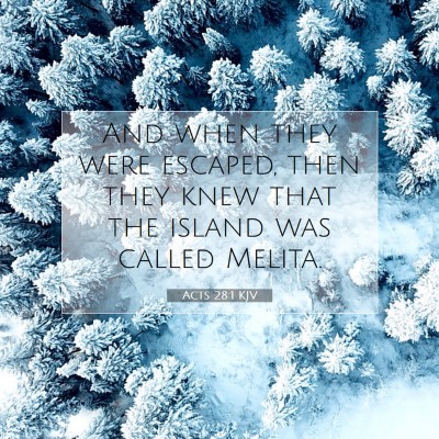 Picture 07 - Acts 28:1 KJV - And when they were escaped, then they knew that - Bible Verse Picture