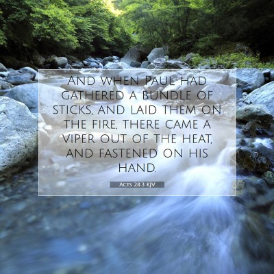 Picture 07 - Acts 28:3 KJV - And when Paul had gathered a bundle of sticks, - Bible Verse Picture