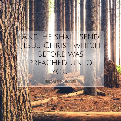 Picture 07 - Acts 3:20 KJV - And he shall send Jesus Christ, which before was - Bible Verse Picture