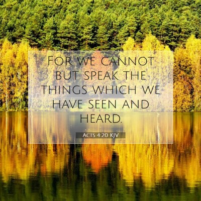 Picture 07 - Acts 4:20 KJV - For we cannot but speak the things which we have - Bible Verse Picture
