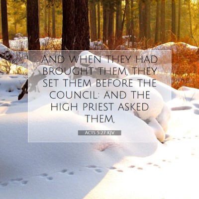 Picture 07 - Acts 5:27 KJV - And when they had brought them, they set them - Bible Verse Picture
