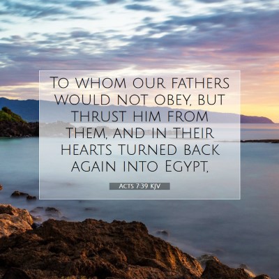 Picture 07 - Acts 7:39 KJV - To whom our fathers would not obey, but thrust - Bible Verse Picture