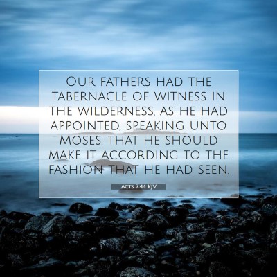 Picture 07 - Acts 7:44 KJV - Our fathers had the tabernacle of witness in the - Bible Verse Picture