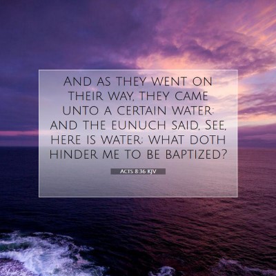 Picture 07 - Acts 8:36 KJV - And as they went on their way, they came unto a - Bible Verse Picture