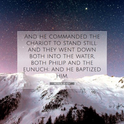 Picture 07 - Acts 8:38 KJV - And he commanded the chariot to stand still: and - Bible Verse Picture