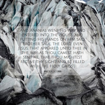 Picture 07 - Acts 9:17 KJV - And Ananias went his way, and entered into the - Bible Verse Picture